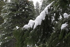 MK Winter11 038